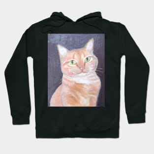 Cat named Cheddar Hoodie